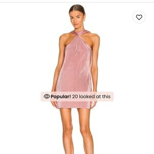 Song of Style Pluto Dress in Pink